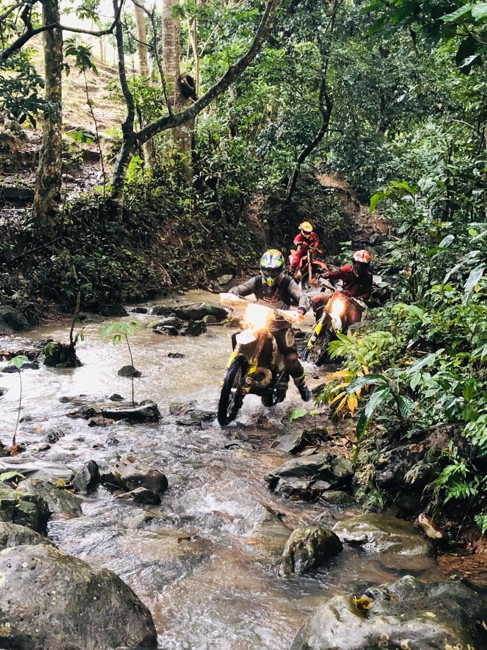 Explora el mundo de Los Lobos Enduro Team